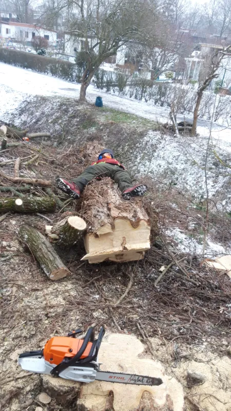 Klettergötz – Ihr Baumspezialist mit Seiltechnik und Expertise in Berlin & Brandenburg